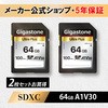 GJSXR-64GV3A1-2PK A1V30�N���XSD�J�[�h Gigastone 44999020