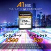 44999029