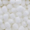 zCg 160g (1000) ɏՍރJ[R[ ACXebv 45015417