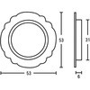 45051923