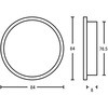 45055247