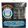 EVOLVA HID Burner D3C 6500k DELTA(デルタ)