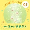 - きき湯 食塩炭酸湯 バスクリン 89837027