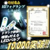 45312227,45312236,45312245
