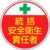 45316871