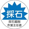 45317185