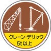 45317203