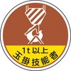 45317264