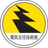 45317352
