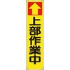 45360019
