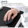 M-XGL30UBSKABK マウス 有線 静音 5ボタン 右手専用 究極の握り心地を実現 EX-G エレコム 45378797