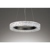 オーデリック CONNECTED LIGHTING 高演色LED シャンデリア リング灯体 ODELIC(オーデリック)