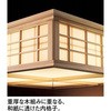 OP252389BR I[fbN CONNECTED LIGHTING FLED aƖ x_gCg BiqfUC ODELIC(I[fbN) 45434544