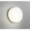 オーデリック 高演色LED エクステリア ポーチライト 別売人検知カメラ・センサー対応 ODELIC(オーデリック)