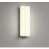 オーデリック CONNECTED LIGHTING 高演色LED エクステリア 玄関/内玄関連動ポーチライト(モード切替型) ODELIC(オーデリック)