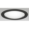 OD361530NR オーデリック 準耐火構造対応 高演色LED ダウンライト ODELIC(オーデリック) 45438760