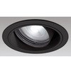 XD403728BC I[fbN CONNECTED LIGHTING LED EFjo[T_ECg vOh ODELIC(I[fbN) 45439469