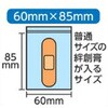 45603944