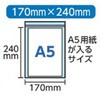 45604005