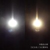 MLB10W-24B LED電球 MLBシリーズ E26口金 マリンテック 45604519