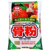 骨粉