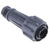 EXP-0911/10/P EXP-0911/10/P BULGIN 45809304
