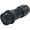 PXP4011/08P/5560 PXP4011/08P/5560 BULGIN 45814168