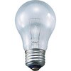 白熱電球 12V