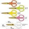 SC-175STW はさみ フィットカットカーブ 洗えるチタン パッケージ2 PLUS(プラス)[文具] 45898896