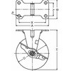 46025427