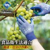 食品衛生法適合 ニトリル背抜き手袋 MagneX538(マグネックス538) TOWA(東和コーポレーション)