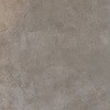 46145550