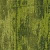 46150224