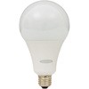 電球 100V 耐震