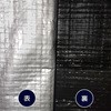 46187568