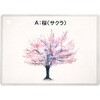 木材の材質・特徴セット 三和製作所
