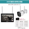 TBC-1010S 防犯士が作ったスゴい防犯カメラ 攻撃型防犯カメラ 最大10台接続可 携帯モニタリング可 ELPA 46203739