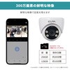 TBC-DC300 防犯士が作ったスゴい防犯カメラ 攻撃型防犯カメラ 最大10台接続可 携帯モニタリング可 ELPA 46203766