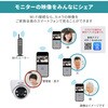 TBC-DC300 防犯士が作ったスゴい防犯カメラ 攻撃型防犯カメラ 最大10台接続可 携帯モニタリング可 ELPA 46203766