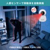 TBC-IP300 J p 300f AvAg zsv ԊOiCgrW ԎBe VEǎt ELPA 46203775