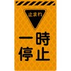 46215604