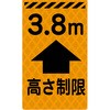 46216329