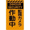 46216338