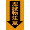 46216399