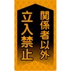 46216487
