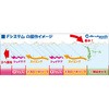 7.5g 25011 V[t[N Arukazik Japan(AJWbNWp) 46227127