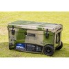 HardCoolerBox 70QT AC vdl n[hN[[{bNX AY 46236095