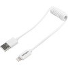 USBCLT30CMW 30cm Apple Lightning - USB�P�[�u�� (�J�[���R�[�h) �z���C�g ���C�g�j���O 8�s��(�I�X) - USB A(�I�X) StarTech.com 46242009