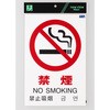 多国語ピクトサイン 光