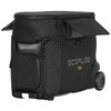 DELTA Pro pJo[